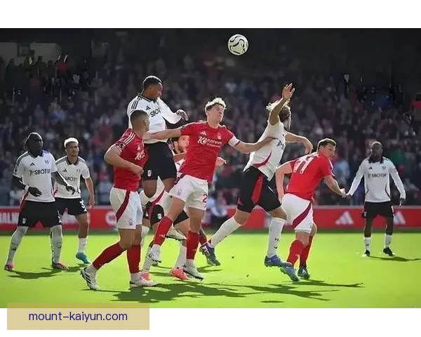 尼斯防守体系 尼斯防守体系