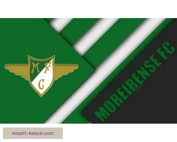 伯恩茅斯老板投资持续增加，球队未来发展备受关注